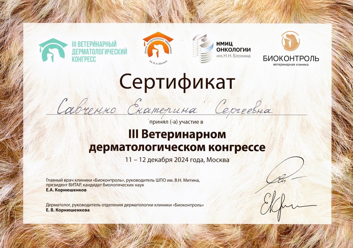 Документ или сертификат