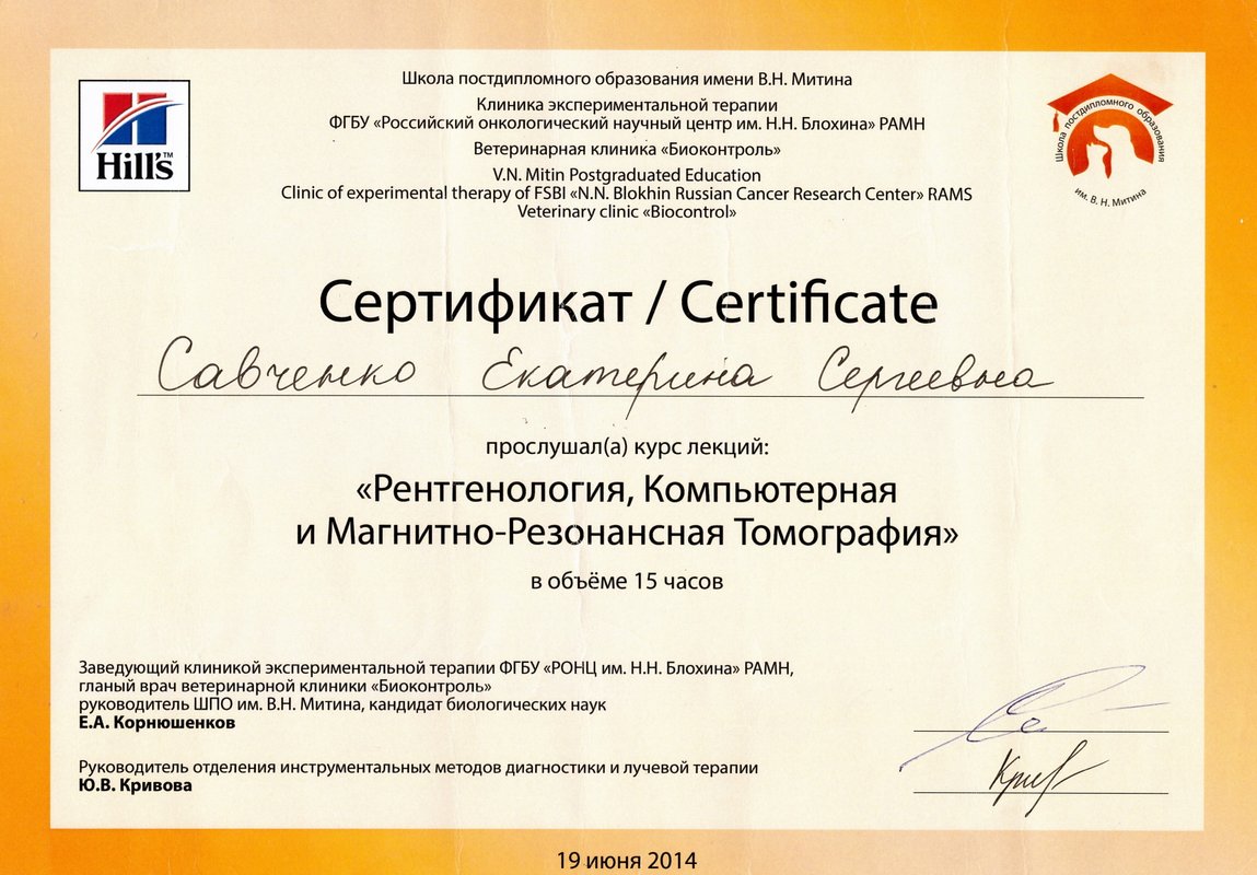Документ или сертификат