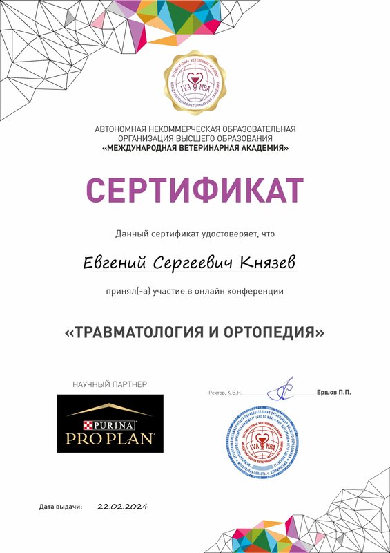 Документ или сертификат