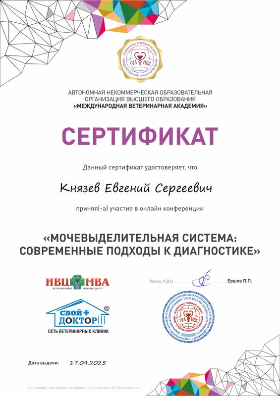 Документ или сертификат