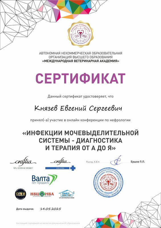 Документ или сертификат