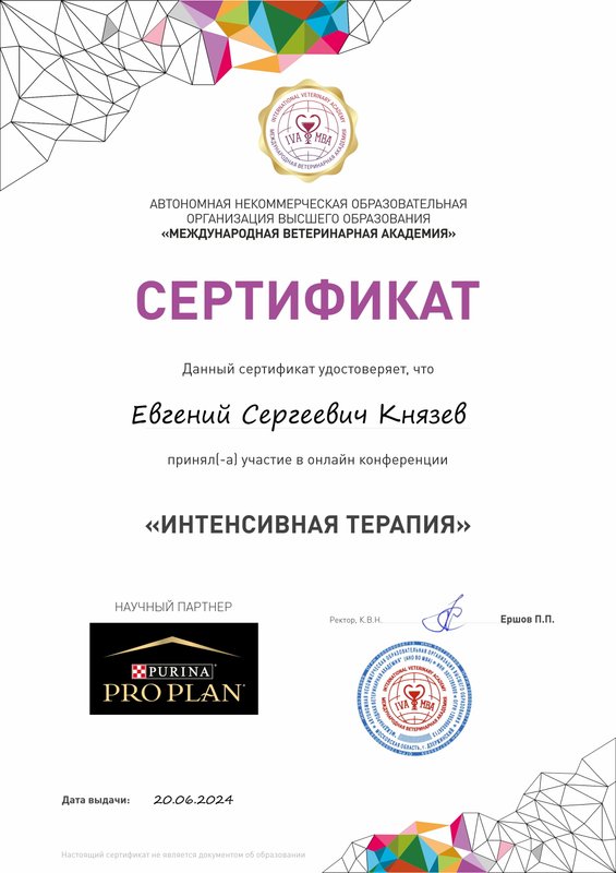 Документ или сертификат