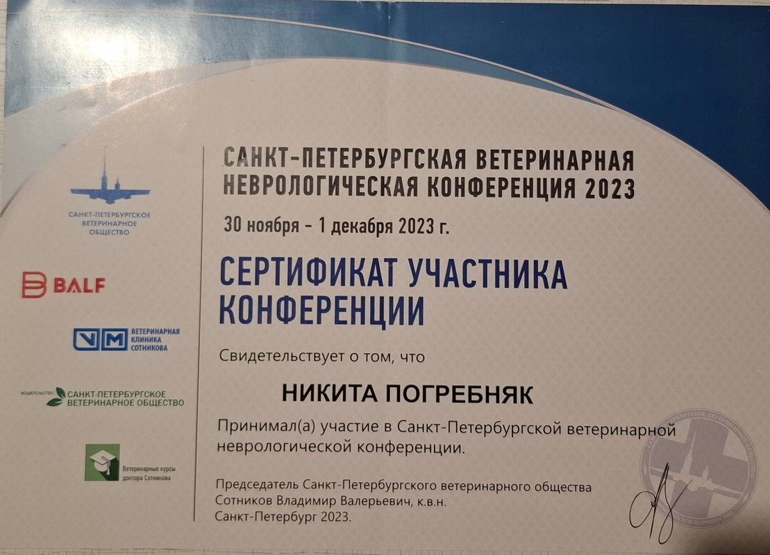 Документ или сертификат