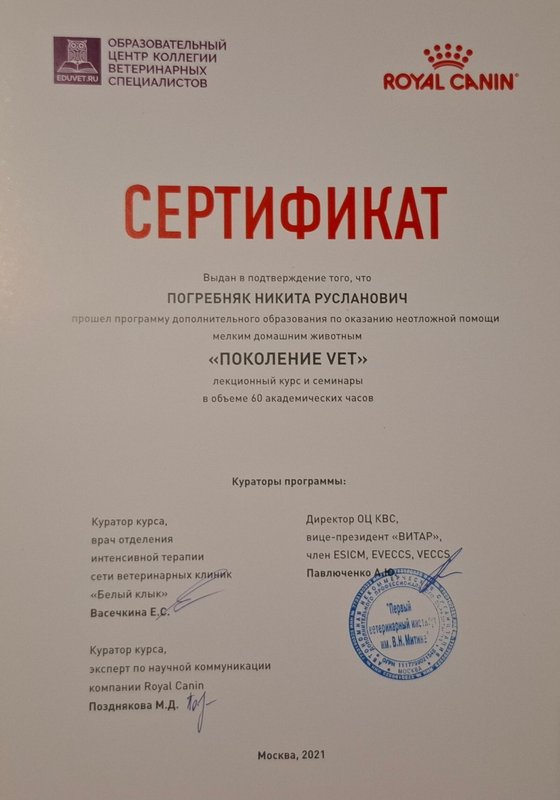 Документ или сертификат