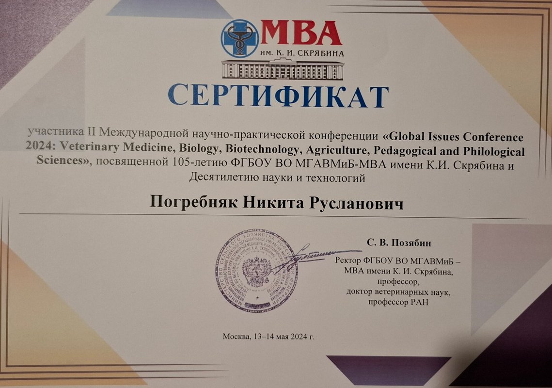 Документ или сертификат