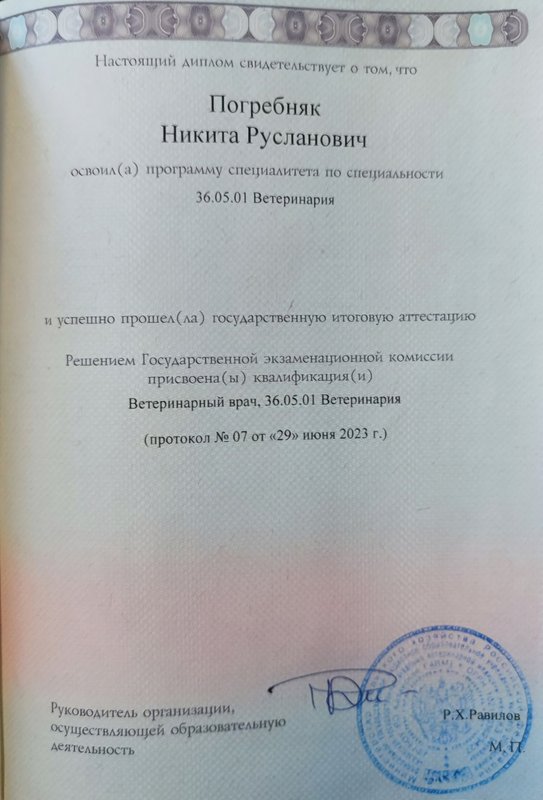 Документ или сертификат