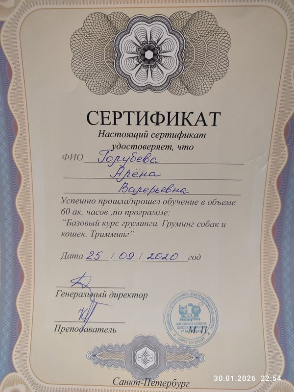Документ или сертификат
