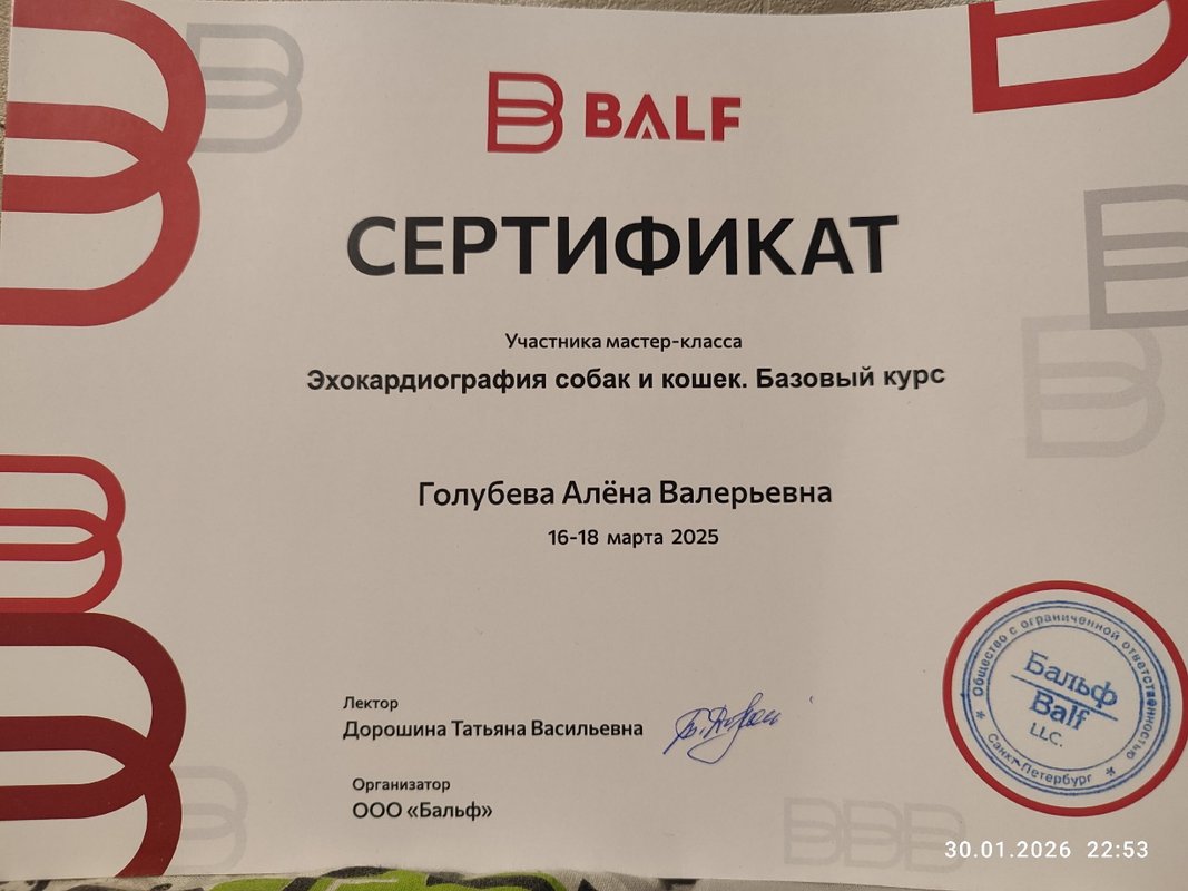 Документ или сертификат