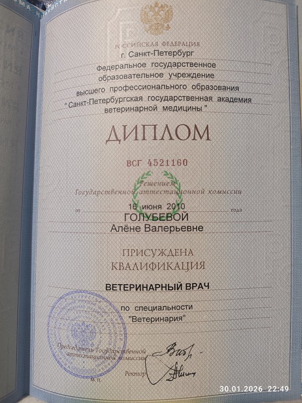 Документ или сертификат