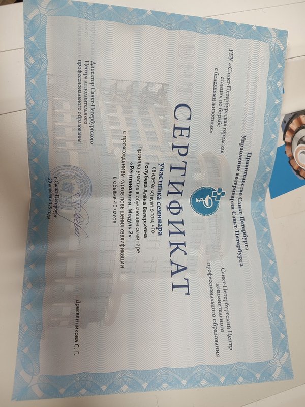 Документ или сертификат