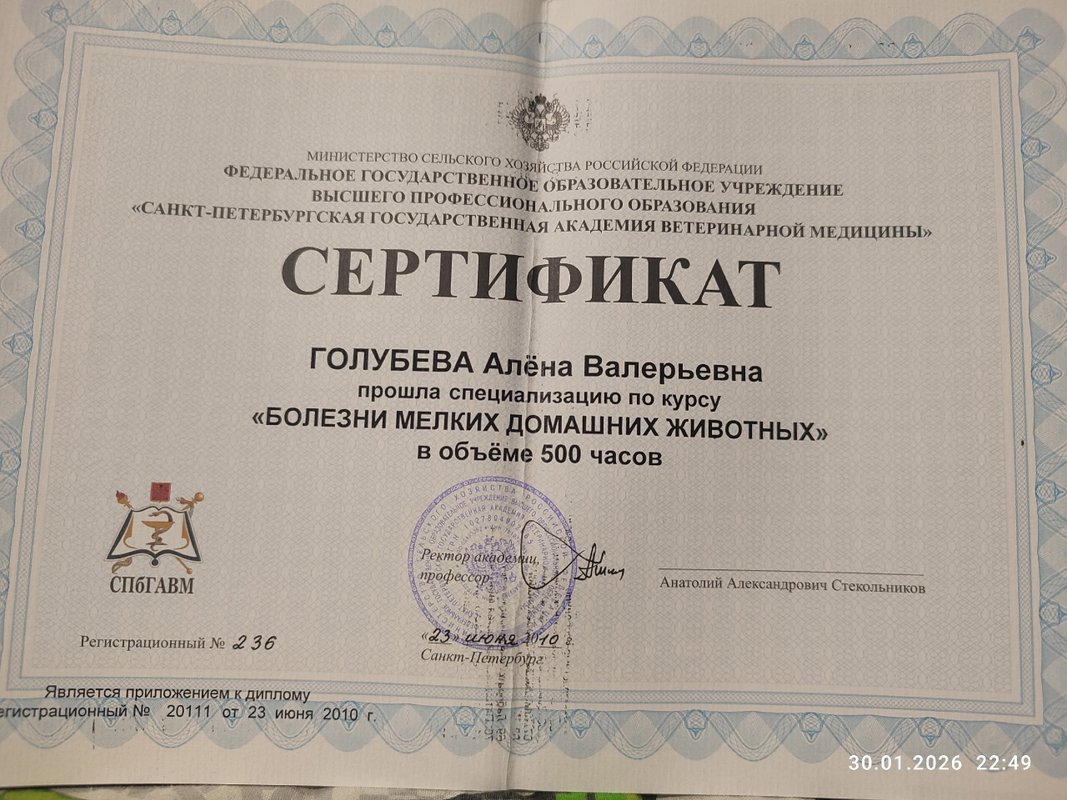 Документ или сертификат