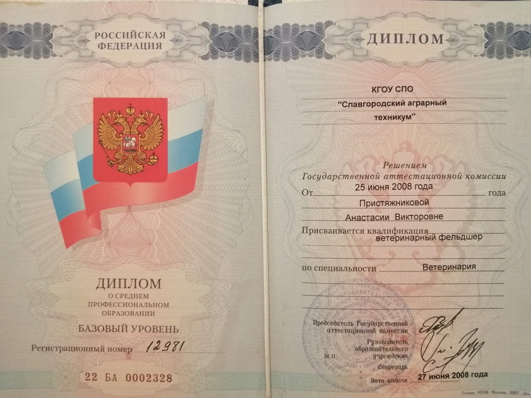 Документ или сертификат