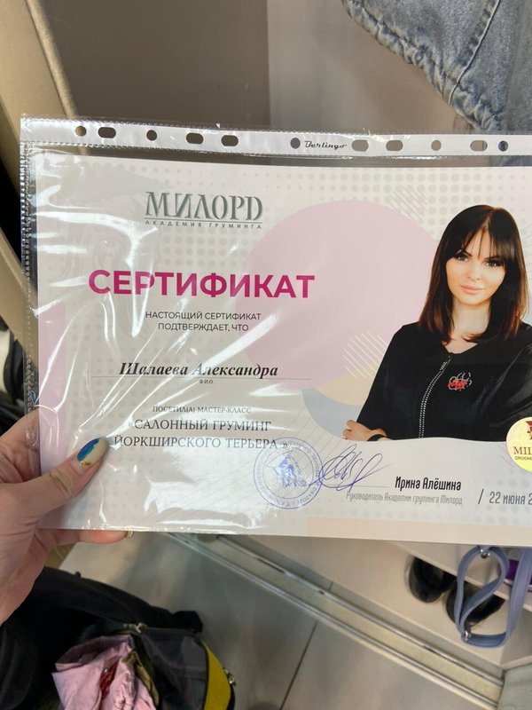 Документ или сертификат