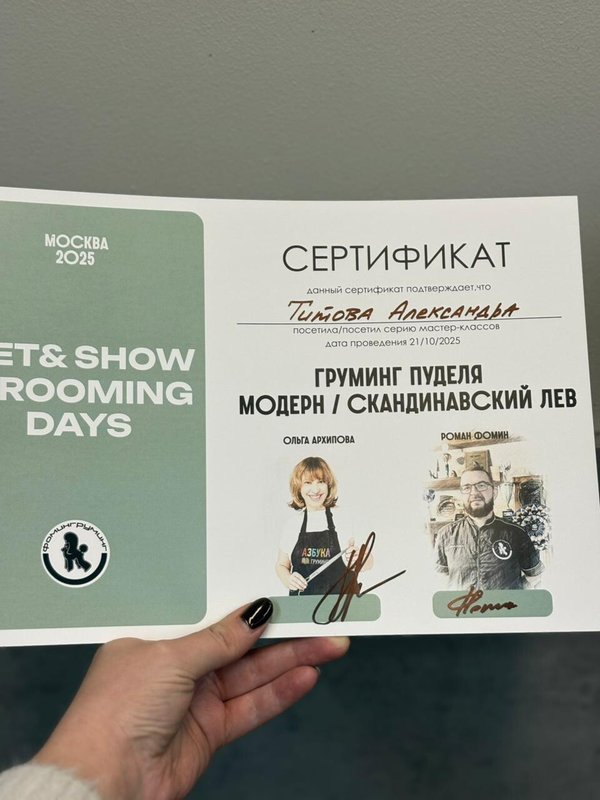Документ или сертификат