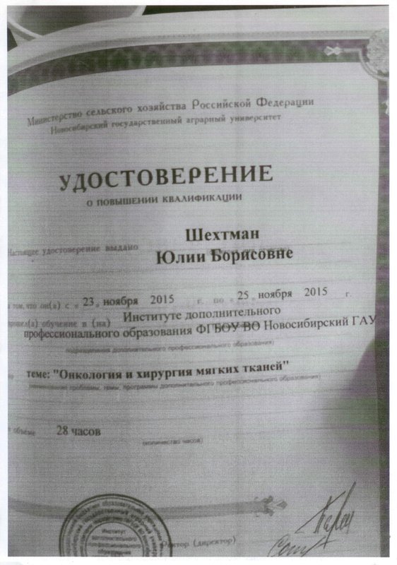 Документ или сертификат
