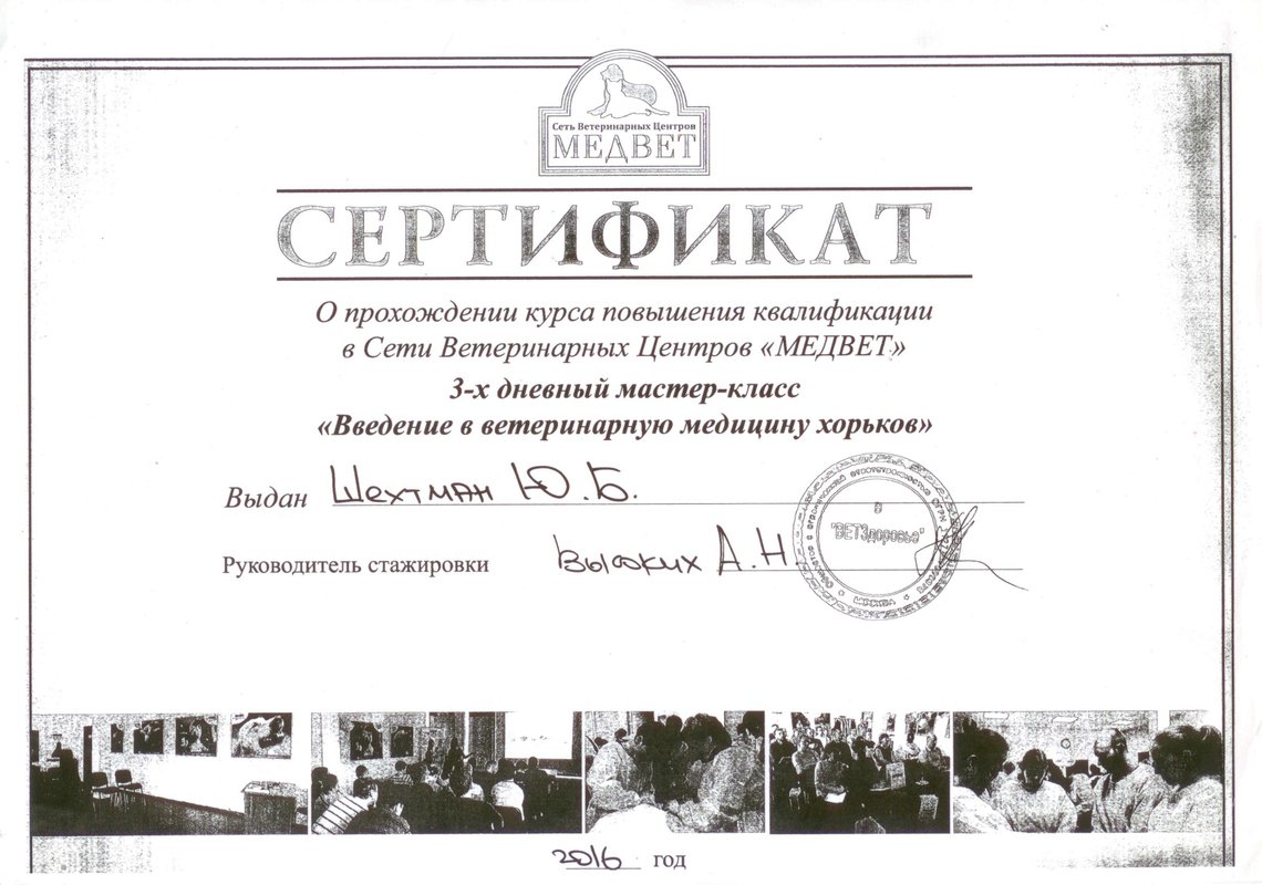 Документ или сертификат