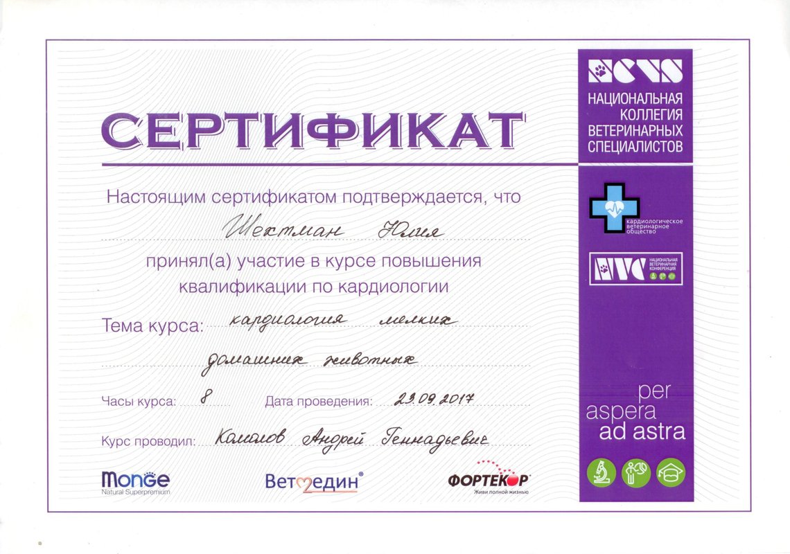 Документ или сертификат