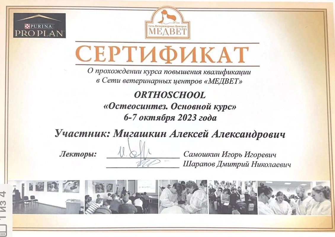 Документ или сертификат