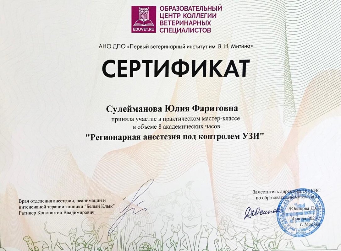 Документ или сертификат