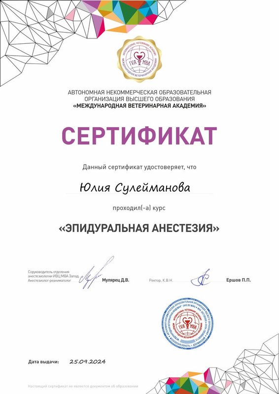 Документ или сертификат