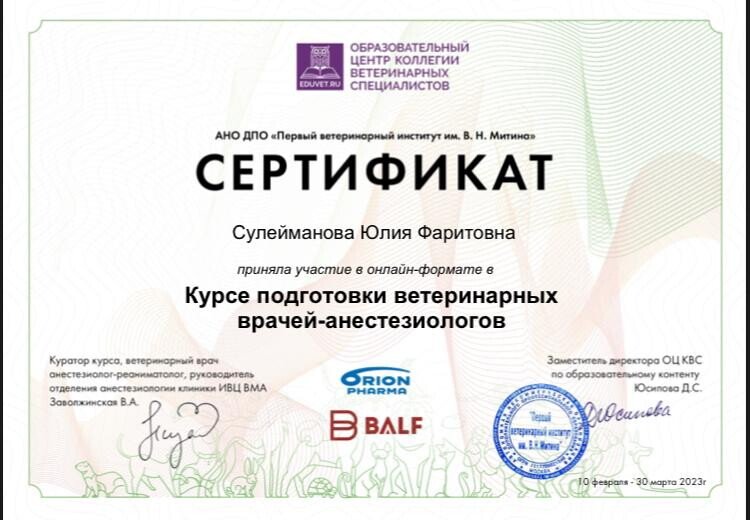 Документ или сертификат