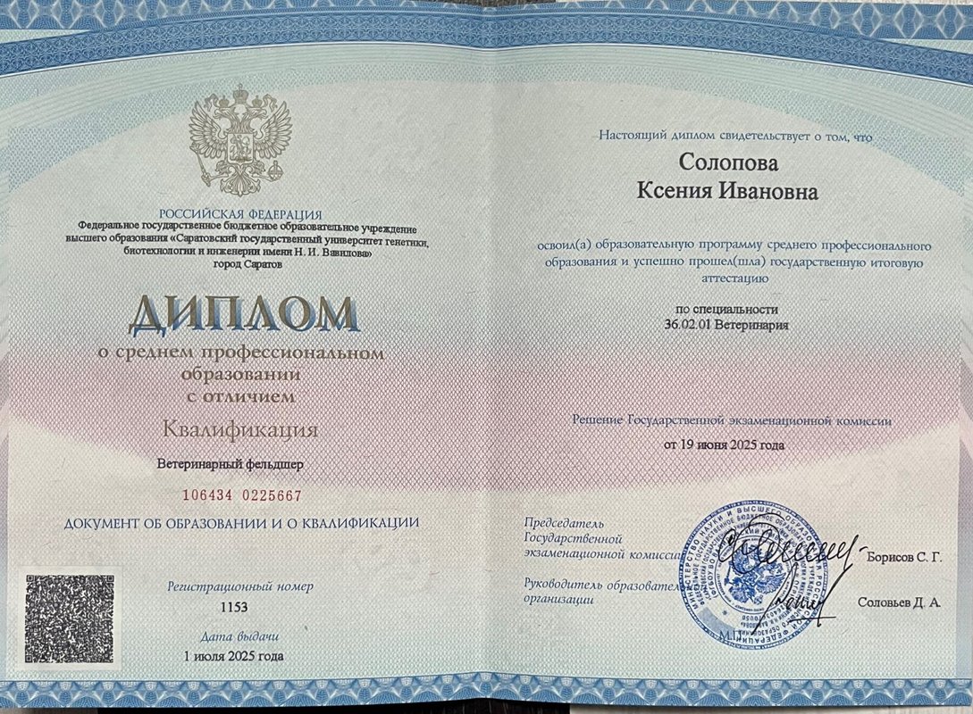 Документ или сертификат