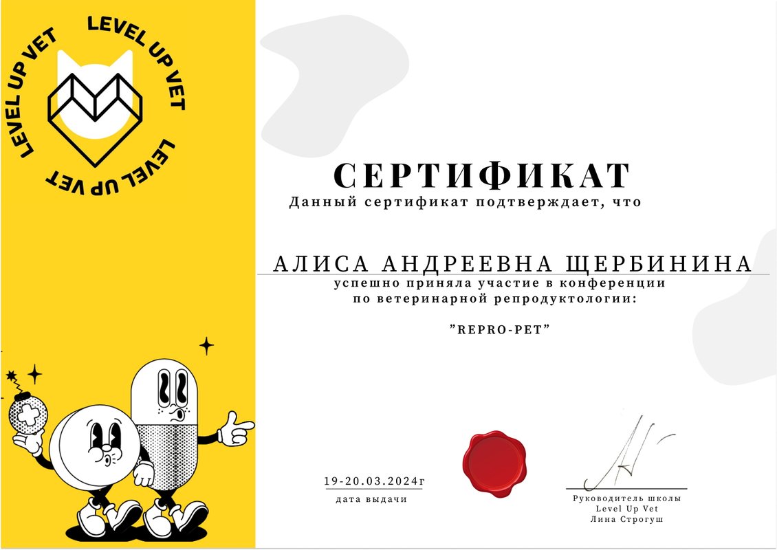 Документ или сертификат