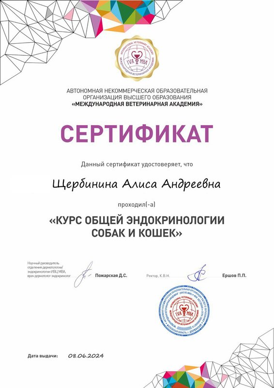 Документ или сертификат