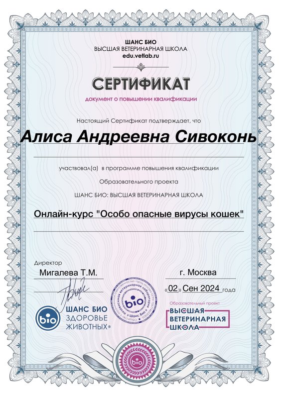 Документ или сертификат