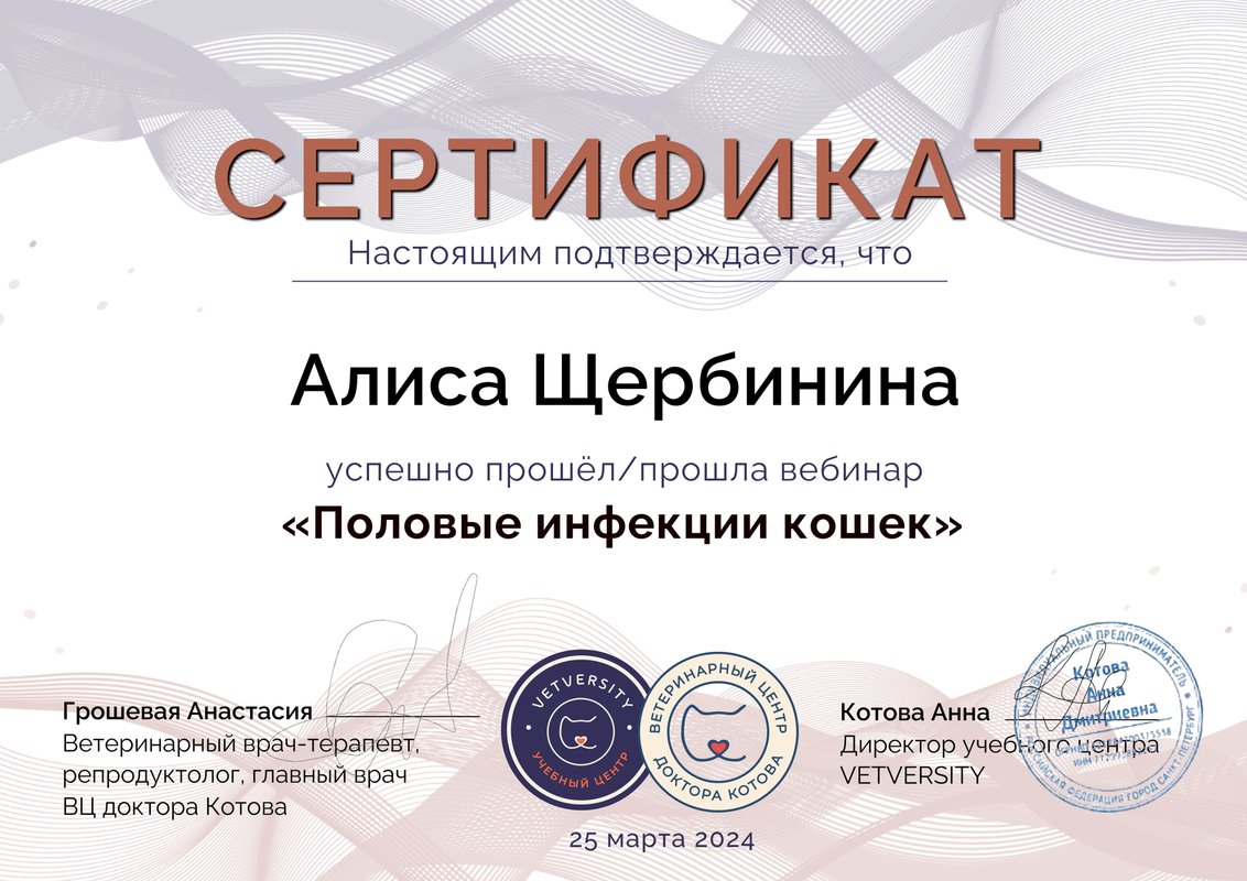 Документ или сертификат
