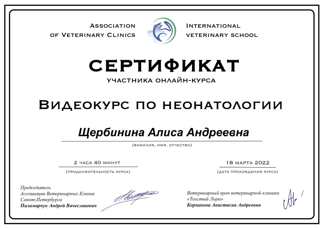 Документ или сертификат