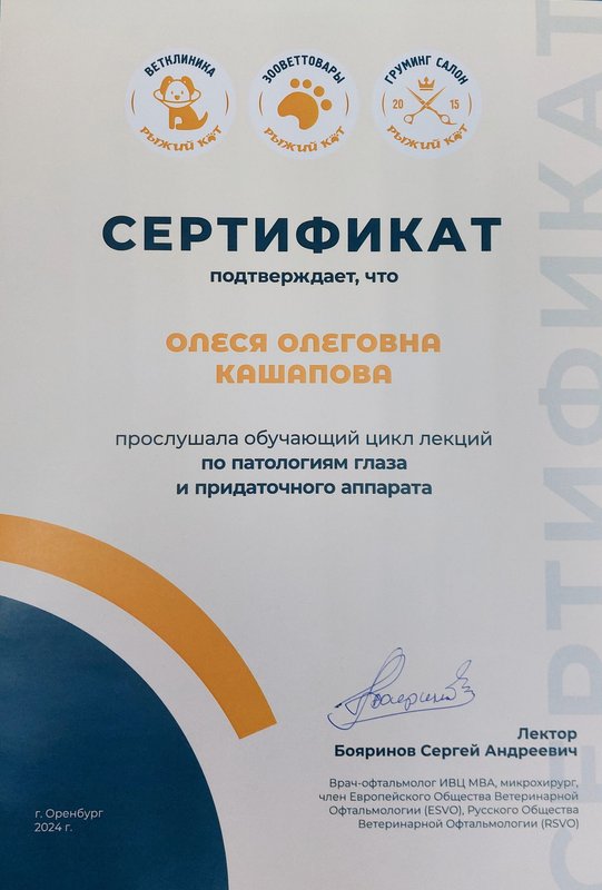 Документ или сертификат