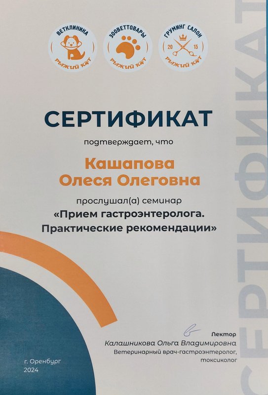 Документ или сертификат