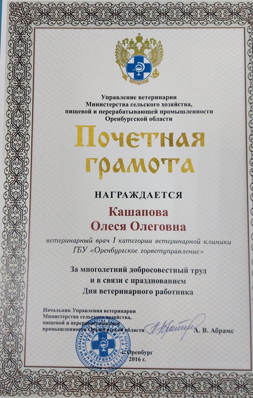 Документ или сертификат