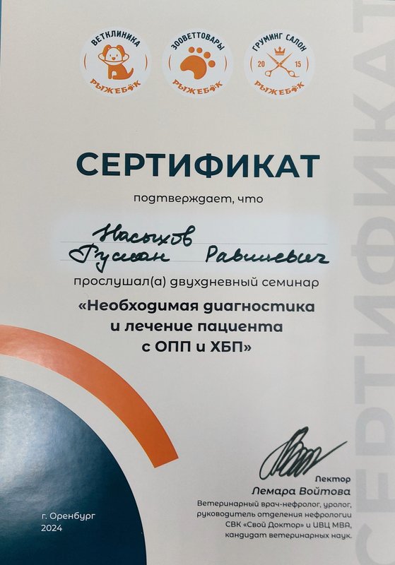 Документ или сертификат