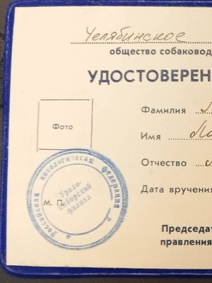 Фото врача Мирза Лариса Владимировна