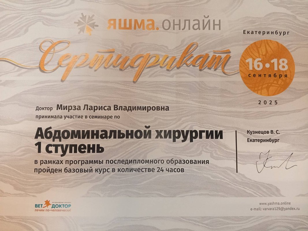 Документ или сертификат