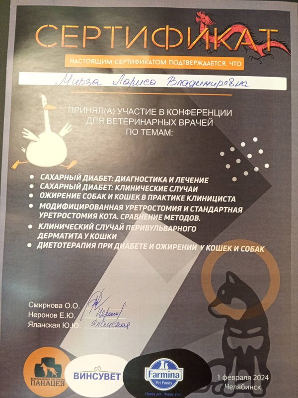 Документ или сертификат