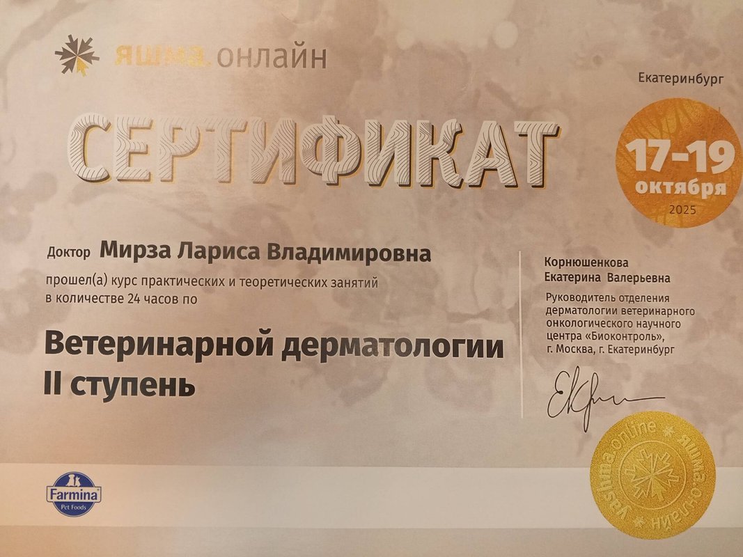 Документ или сертификат