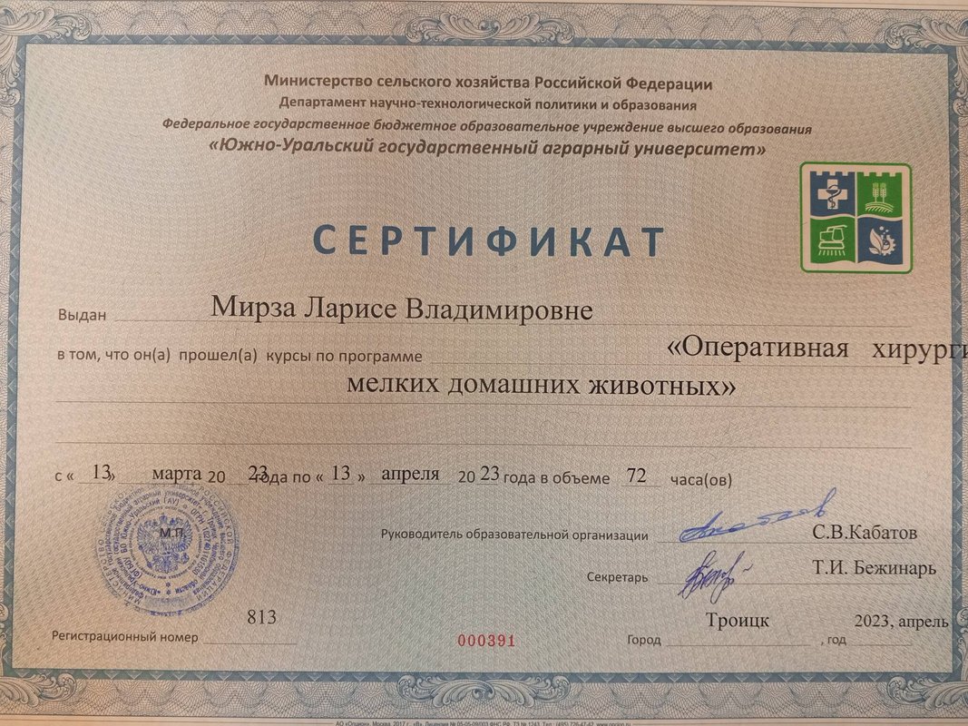 Документ или сертификат