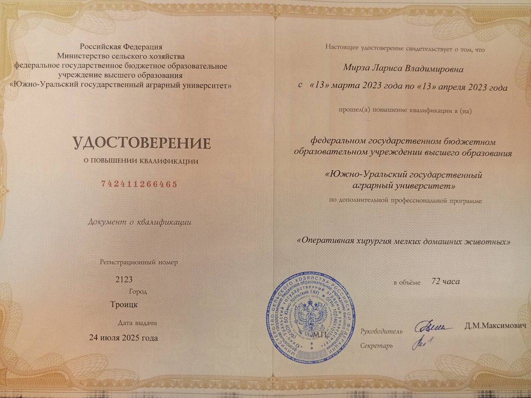 Документ или сертификат