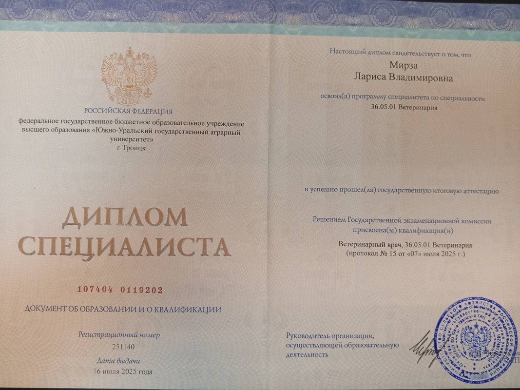 Документ или сертификат