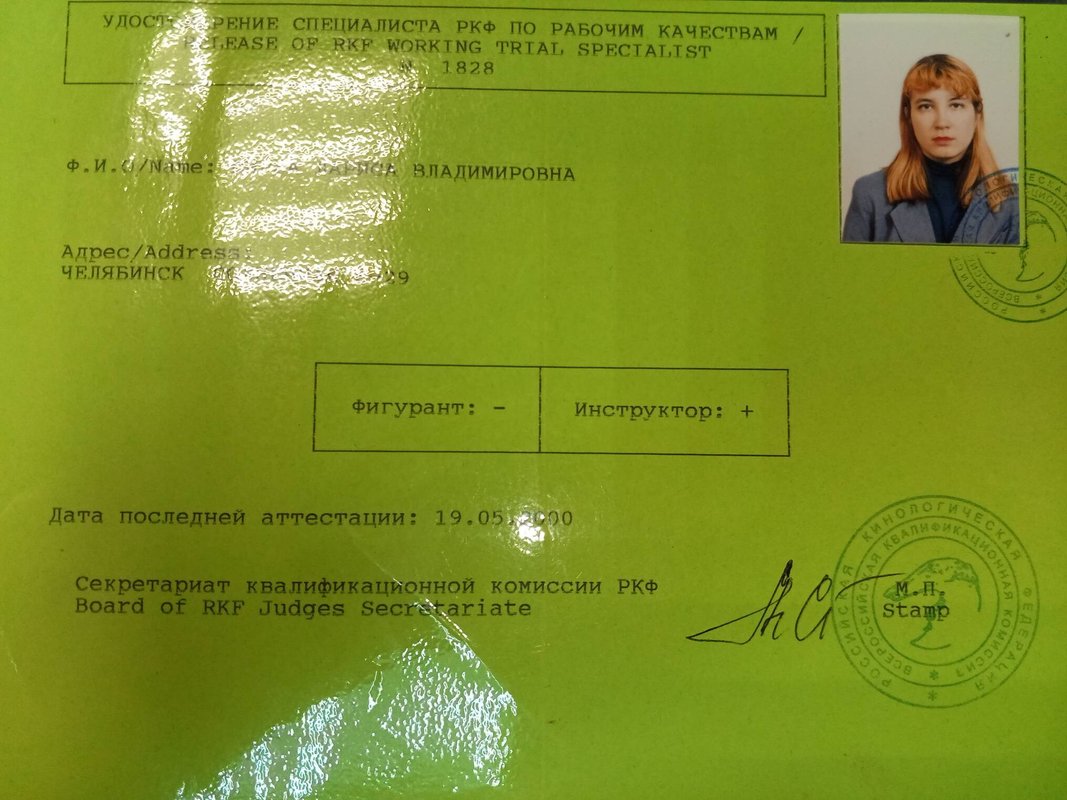 Документ или сертификат