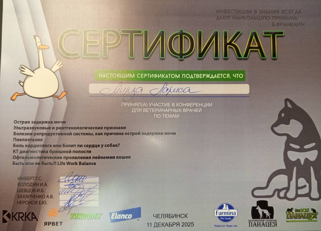 Документ или сертификат