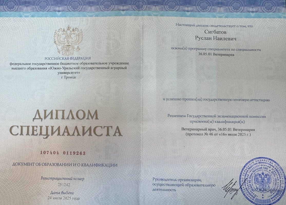Документ или сертификат