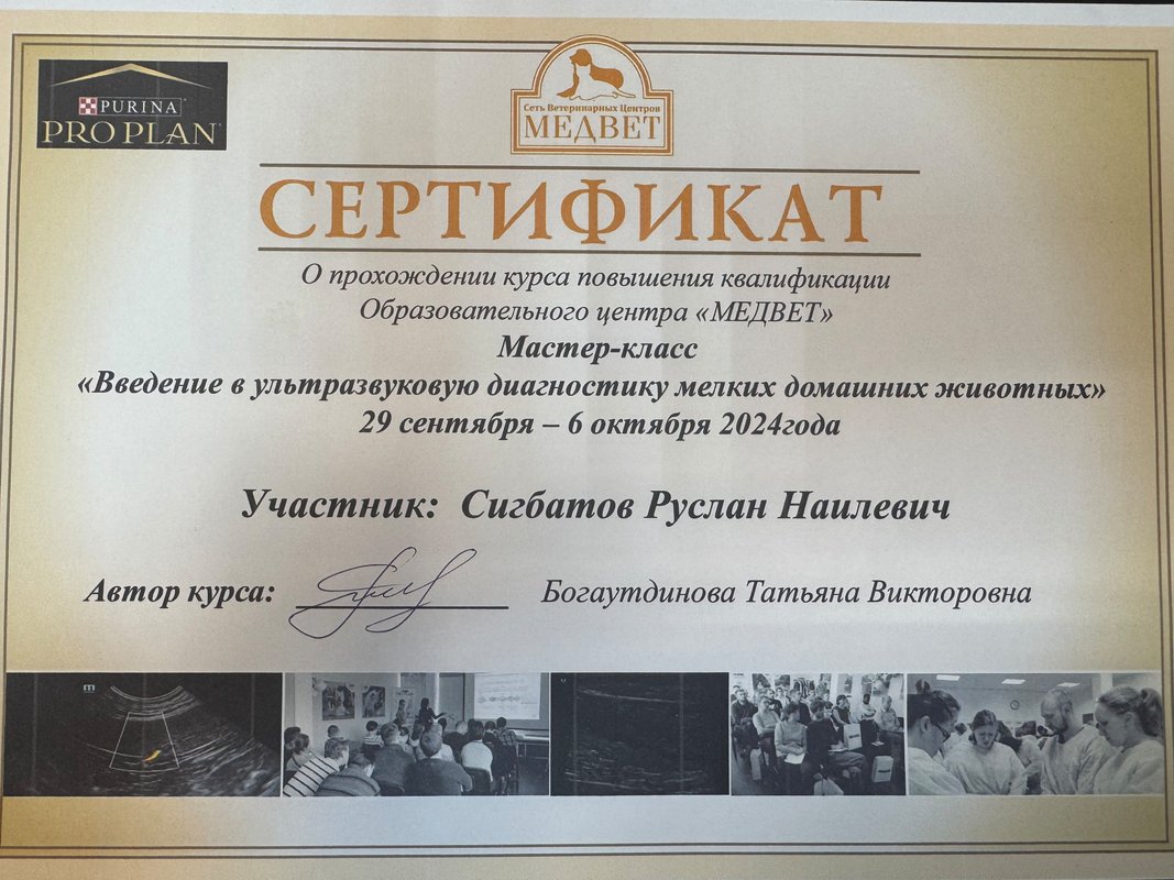 Документ или сертификат