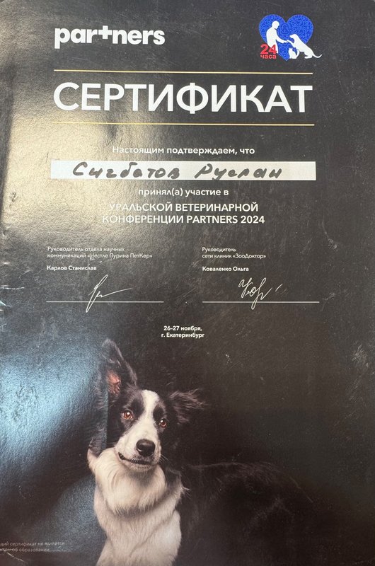 Документ или сертификат