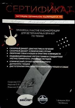 Документ или сертификат