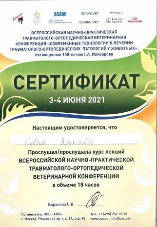 Документ или сертификат