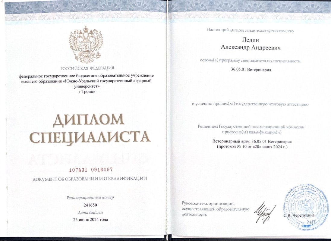Документ или сертификат